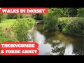 WALKS IN DORSET at THORNCOMBE & FORDE ABBEY (& THE RIVER AXE) (4K)