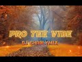 REMIX PRO TEE VIBE BY DJ CHARLYMIX