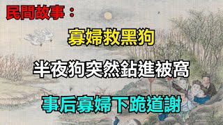 民間故事：寡婦救黑狗，半夜狗突然鉆進被窩，事后寡婦下跪道謝