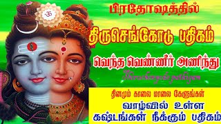 கணவன் மனைவி ஒற்றுமையுடன் வாழவும் || பிரித்த  குடும்பங்கள் இணைய கேட்க வேண்டிய திருச்செங்கோடு பதிகம்