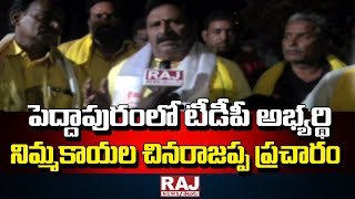 పెద్దాపురంలో టీడీపీ అభ్యర్థి నిమ్మకాయల చినరాజప్ప ప్రచారం || Nimmakayala Chinarajappa || Raj News