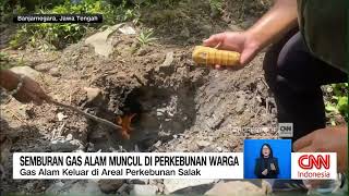 Semburan Gas Alam Muncul Di Perkebunan Warga