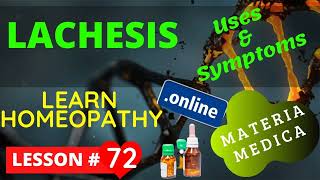 Lachesis Mutus Uses And Symptoms | Homeopathy Treatment