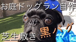 【黒パグ 】ぶんた　自作ドッグランに興奮しすぎて○○こする‼️ pug びっくり　DIY  ぱぐ