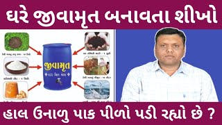 જીવામૃત બનાવતા શીખો ઉનાળુ પાકમા પીળાસ પરેશ ગોસ્વામી || Jivamrut Banvata Sikho Paresh Goswami