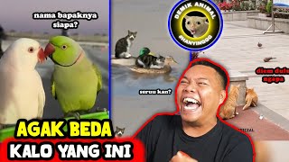 INI NIH YANG BIKIN NGAKAK PARAH WKWWKWK - Reaction Demik Animal