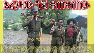 Ethiopia:-ከሸዋ ፋኖ የተላለፈ መልክት