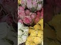 กุหลาบสวยๆ วันแม่ shorts rose flowers beautiful video ytshort ดอกไม้ ไม้ดอก สวย กุหลาบ