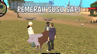 KERJA JOB PEMERAH SUSU SAPI DI SERVER CRYSTAL PRIDE | GTA SAMP ANDROID