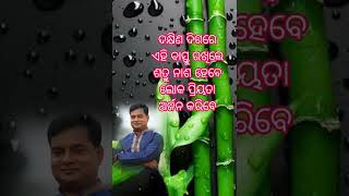 #ଦକ୍ଷିଣ ଦିଗ ର ବାସ୍ତୁ