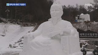 태백산에 들어선 '겨울 왕국'…어른·아이 모두 푹 빠져