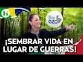 Claudia Sheinbaum en el G20: Propone destinar el 1% del gasto militar a la reforestación mundial