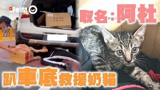 警察+熱心男趴車底救援奶貓 收編後取名「阿杜」｜寵物動物｜暖聞｜他一定很愛你｜精選影片