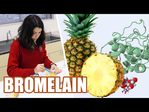 What is the role of the gelatin in the enzyme activity?