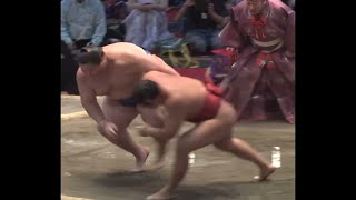 豪快! 豊昇龍が逸ノ城を投げた #相撲 #sumo