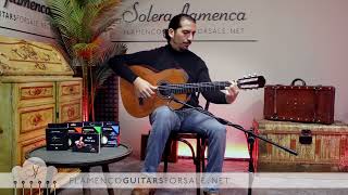 Mod. Especial Flamenco Marcelo Barbero (cedar/Indian R.) played by José Andrés Cortés