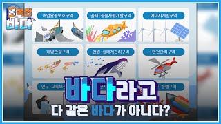 바다라고 다 같은 바다가 아니다? 해양공간관리계획으로 다르게 쓰는 바다! [똑똑한 바다]