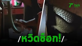 หวิดช็อก นอนเคลิ้มจงอางเลื้อยพาดลำตัว | 10-01-63 | ข่าวเช้าหัวเขียว