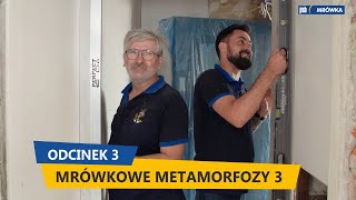 Mrówkowe Metamorfozy sezon 3 – odcinek trzeci