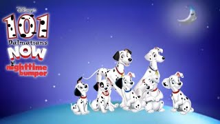 Disney Junior bumper [Nighttime] 101 Dalmatians •Now•