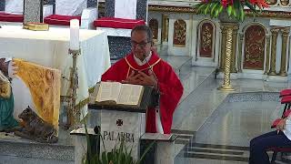 Eucaristía  sábado  28 de diciembre de 2024  -  3:00  p.m Basílica Señor de los Milagros de Buga