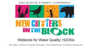 Wetlands for Water Quality: ODNR’s H2Ohio Program