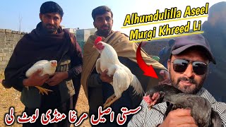 Alhumdulilla Mandi Se Aseel Mugri Khreed Li Birds Market_MB Vlogs