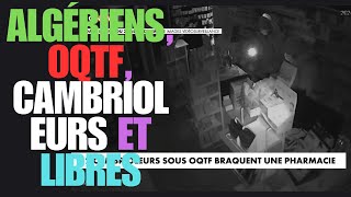 Algériens, OQTF, cambrioleurs – même pas une amende de 90 € que je paie quand je dépasse de 2km/h