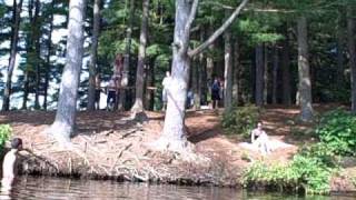 Rope Swing CT