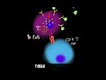 How do B cells make ANTIBODIES??? #immunology #immunesystem #biology