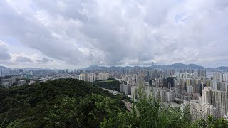 紅梅谷, 大埔道, 鷹巢山自然教育徑, 芽菜坑@【平遊山野】香港行山 25.6.2023 (山龍隊/自由行)