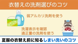 使う洗剤に注意!?夏服の衣替え前に知っておきたい「しまい洗い」のコツ