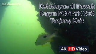 Melihat lebih dekat Kehidupan Air Di Bawah Bagan Popeye G03 Tj. Kait,