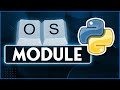 Python OS Module | The best functions