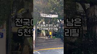 전국에 마지막 하나 남은 민들레영토