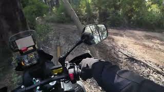 CFMOTO 450MT IN THE HIGH COUNTRY VICTORIA AUSTRALIA