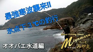 オオバエ水道 釣行記