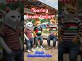 Tiga ekor touring #cat #catlover #kucing #kucinglucu #shorts #animation