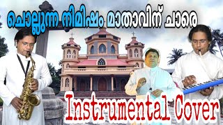 ചൊല്ലുന്ന നിമിഷം മാതാവിന് ചാരെ..| Instrumental Cover | Fr Bency Cheenan | St Marys Church Karuvannur