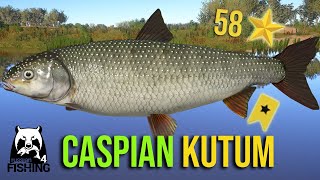 NO WAY! Caspian Kutum Trophy at Akhtuba River - Russian Fishing 4 #rf4