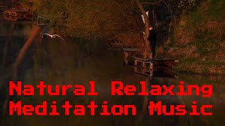 10 Min Natural Relaxing Meditation Music/Music Tamil Green
