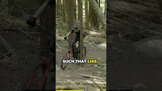 A classic take on what a trail bike is