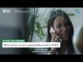 future fast forward boston consulting group southeast asia center for sustainability