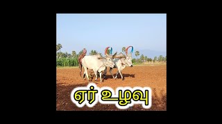 ஏர் உழவு|உழுதுண்டு வாழ்வோம்