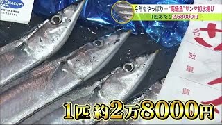 驚きの1匹2万8000円！\