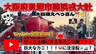 【公園】【大阪府貝塚市脇浜戎大社 】十日戎⛩👏行ったら横に大きな巨大カニの公園が！！！🦀沈没船？⛴☠#どどずチャンネル#おすすめ#公園#大阪府#十日戎