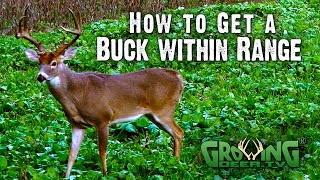 How to Get Bucks in Range | Plus Over 15 Tips to Use Throughout Deer Season (723)