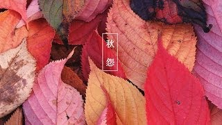 單人舞N 秋怨 華爾滋 示範與教學