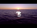 bordo sunset on my mind official music video