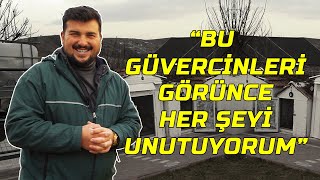 Kanatlı Hayvanlarla Zirvede Huzur Merkezi - Tufan Yüksel Kümes Ziyareti - Ala Türkiye 4K